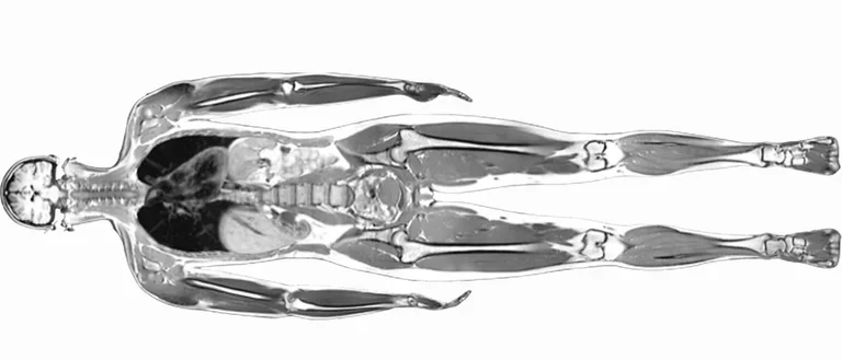 body_scan